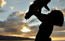 Load image into Gallery viewer, DV Shelters Hawai&#39;i Island
