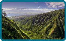 Load image into Gallery viewer, Maui County Director&#39;s HOPE Fund
